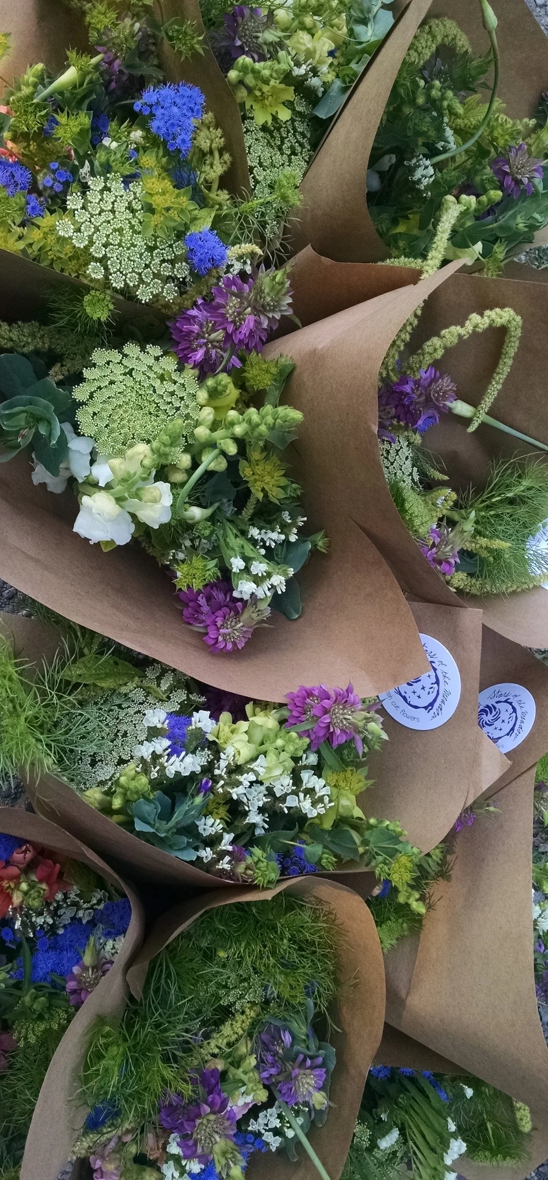 Find a bouquet — Stars of the Meadow Flower Farm - local and